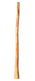 Ironbark Didgeridoo (IB265)
